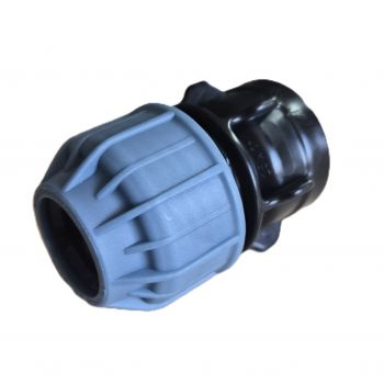 Przelot PE 25-1" GW PN10...