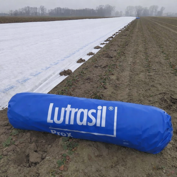 Agrowłóknina Lutrasil Pro 23 g/m² – 12,80 × 100 m do okrywania WB