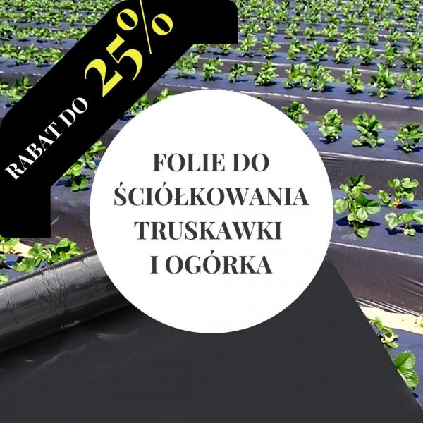 Folie do ściółkowania truskawki i ogórka